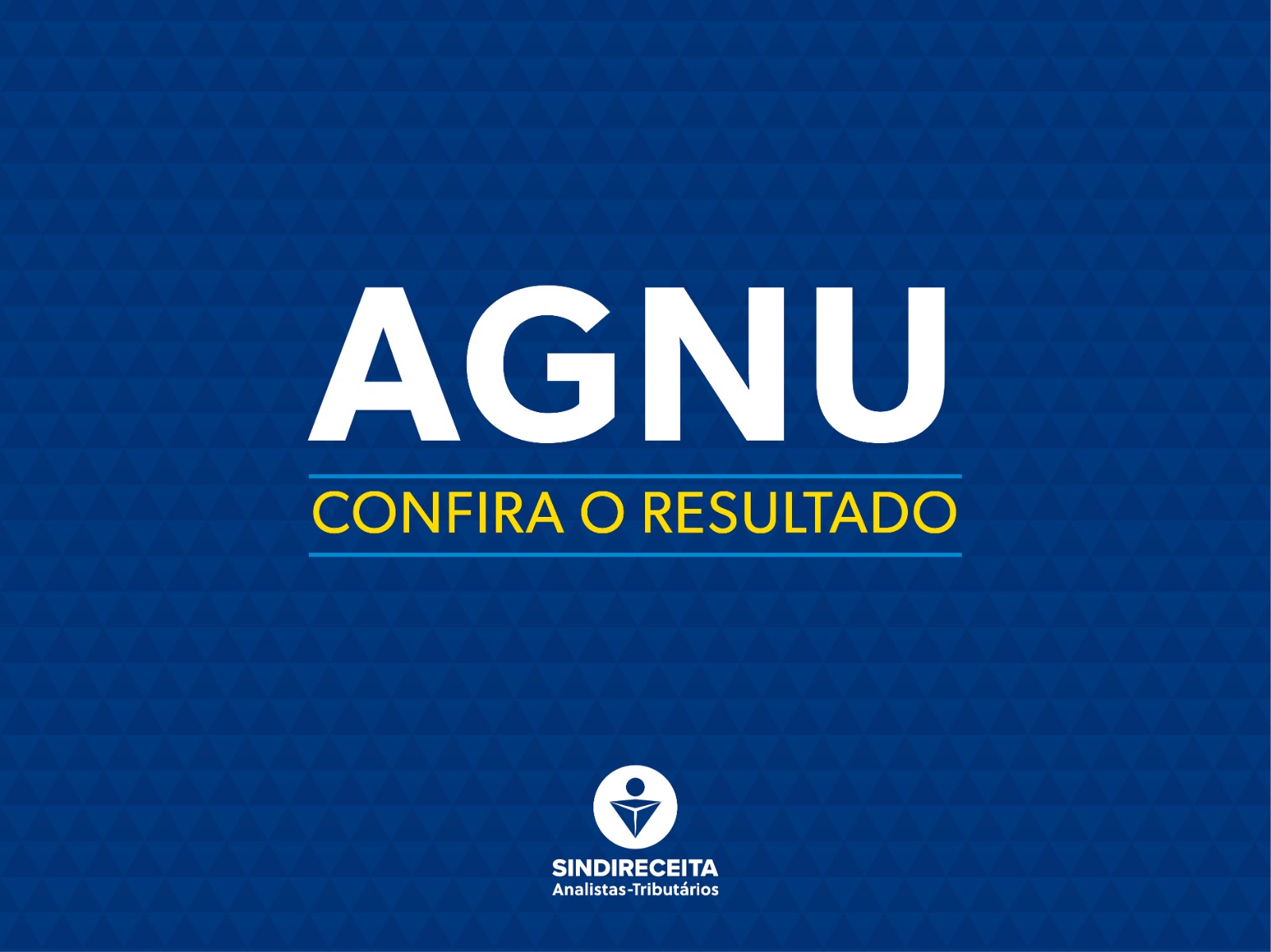 Resultado da primeira AGNU com votação eletrônica